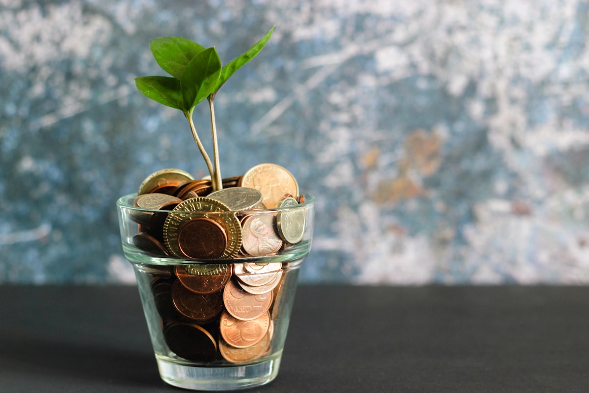 Cost & Cash Optimization